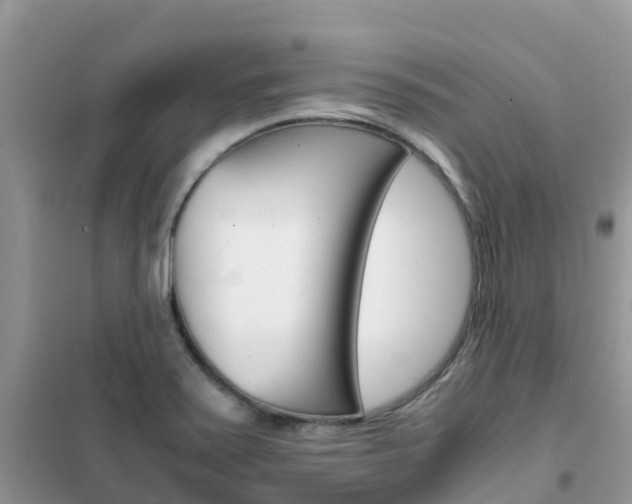 X0000102371371200808011013