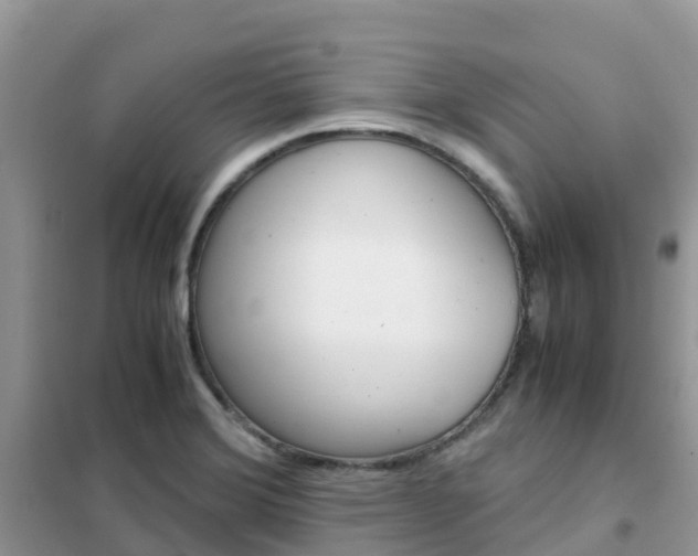 X0000102371372200808011013
