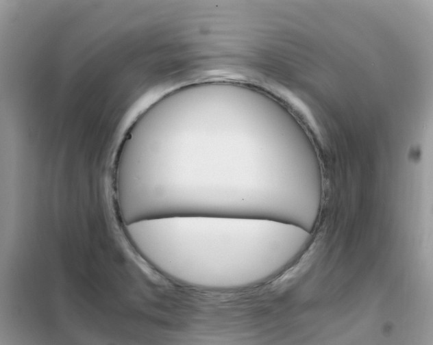 X0000102371373200808011013