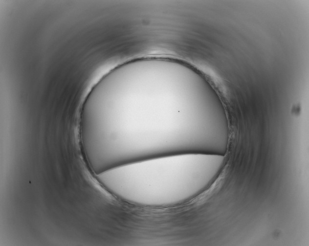 X0000102371374200808011013
