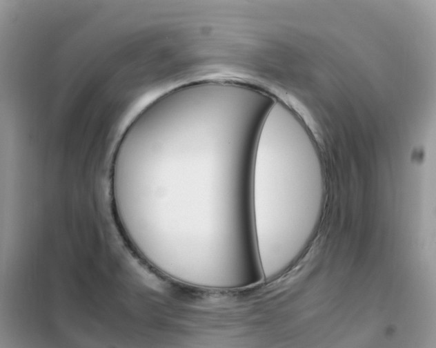 X0000102371375200808011013