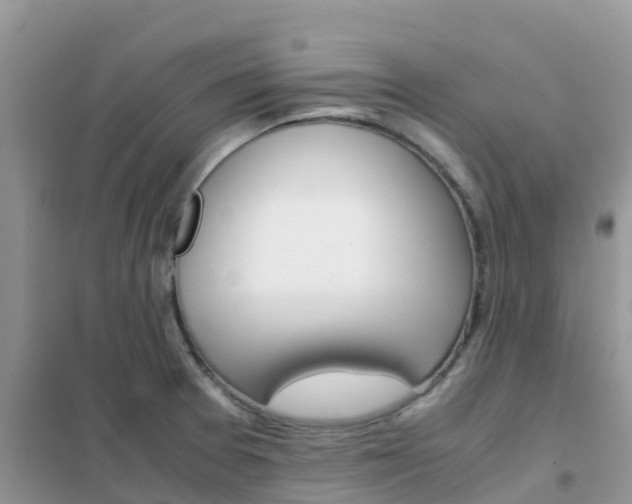 X0000102371377200808011013