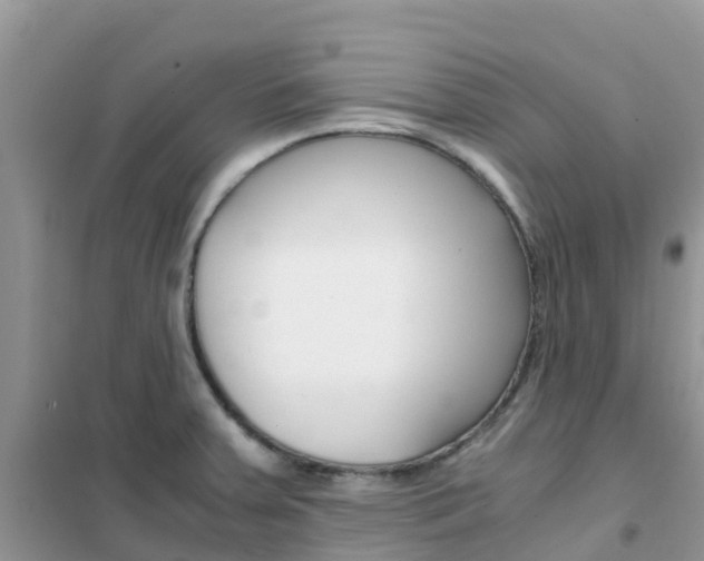 X0000102371379200808011013