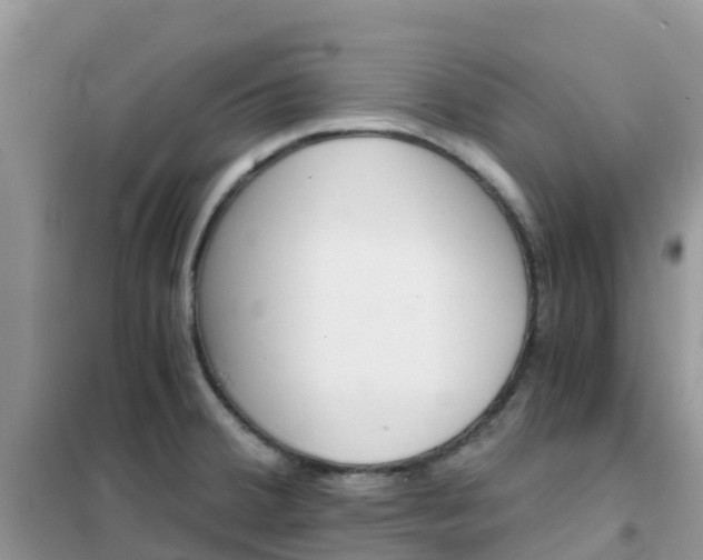 X0000102371380200808011013