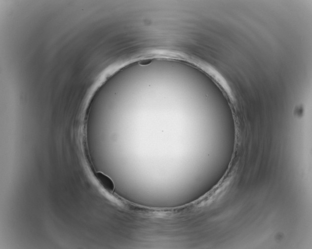 X0000102371381200808011013