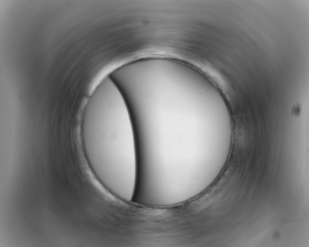 X0000102371382200808011013