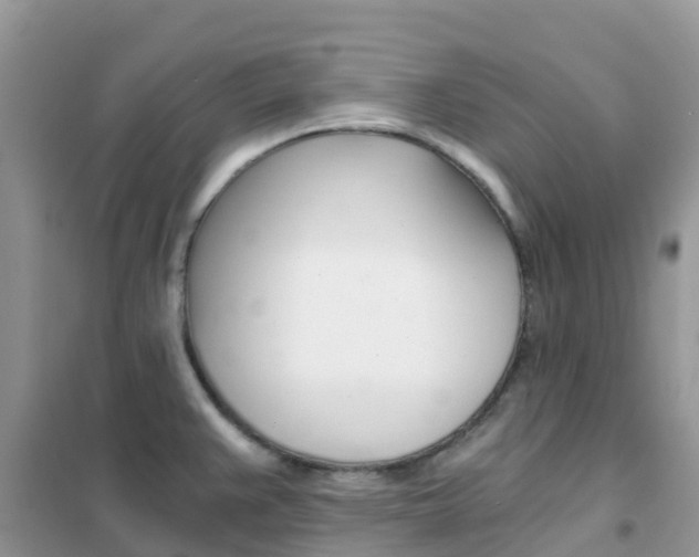 X0000102371383200808011013