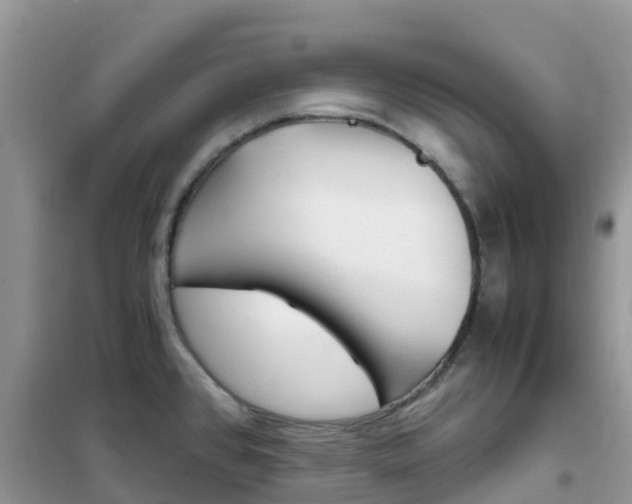 X0000102371384200808011013