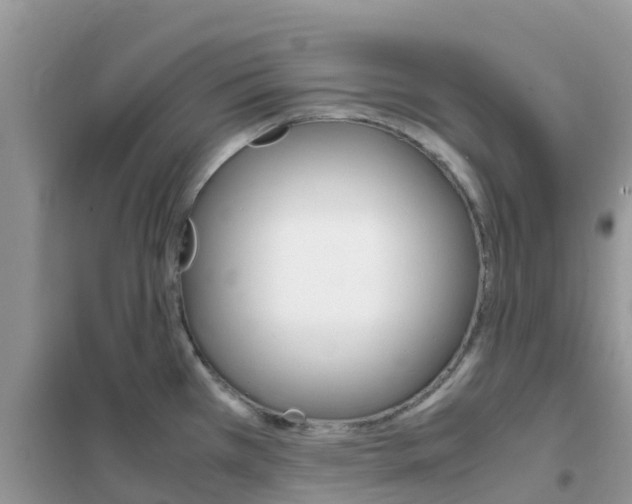 X0000102371385200808011013