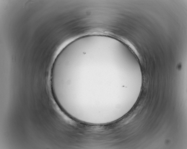 X0000102371387200808011013
