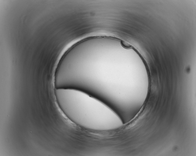 X0000102371388200808011013