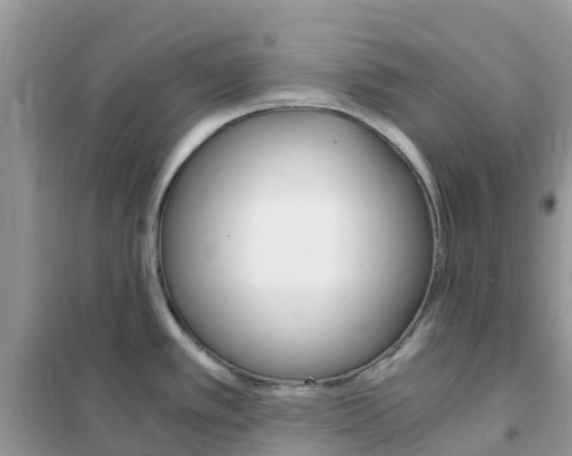 X0000102371389200808011013