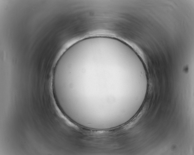 X0000102371390200808011013
