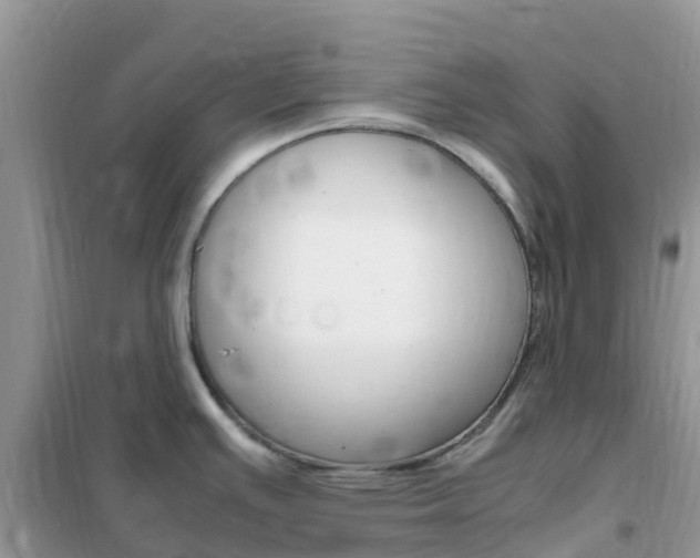 X0000102371391200808011013