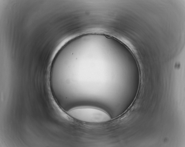 X0000102371392200808011013
