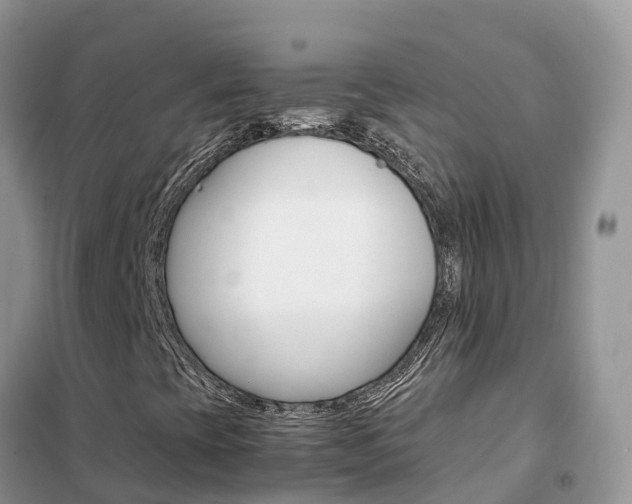 X0000102371393200808011012