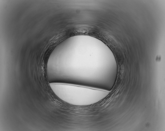 X0000102371394200808011012