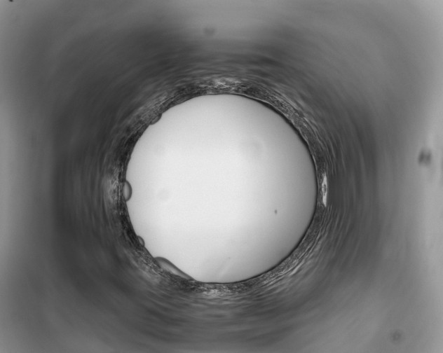 X0000102371395200808011012