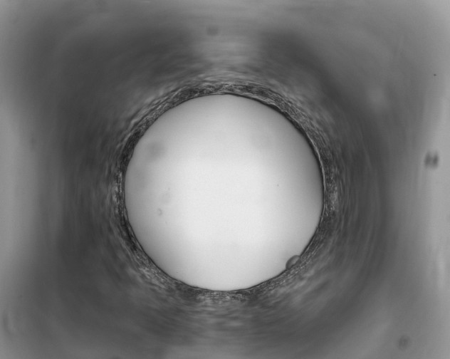X0000102371397200808011012
