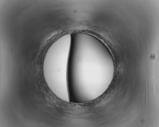 X0000102371398200808011012