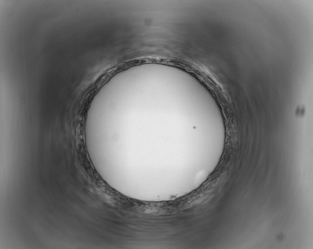 X0000102371399200808011012