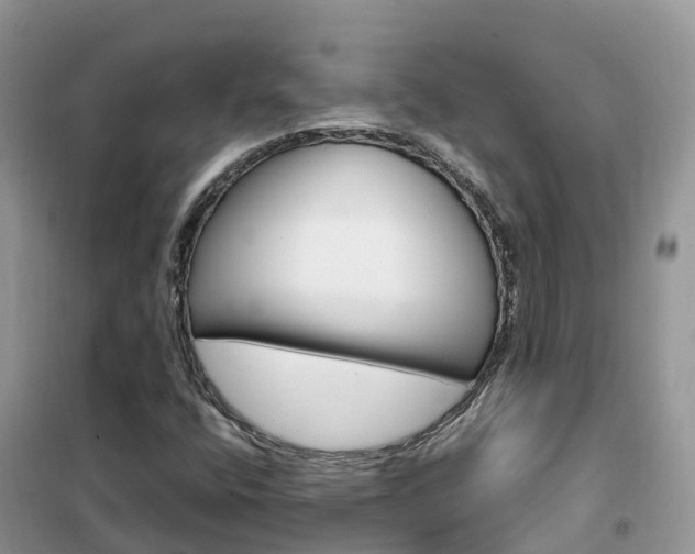 X0000102371400200808011012