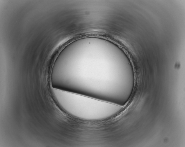 X0000102371402200808011012