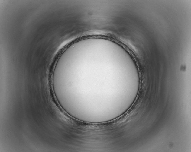 X0000102371404200808011012