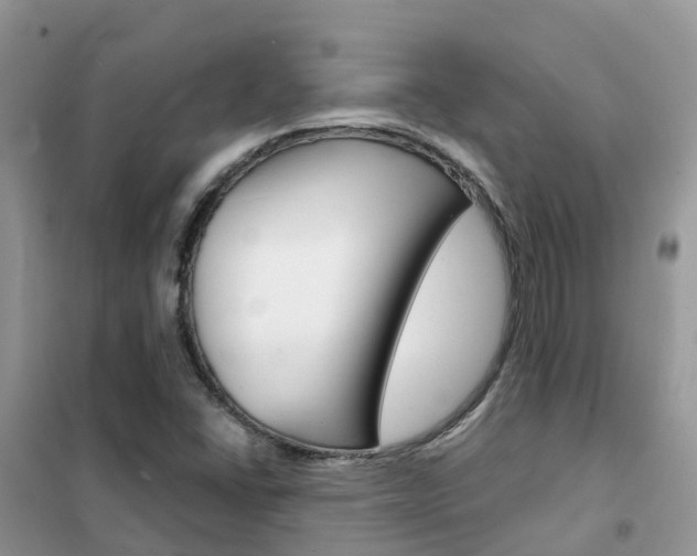 X0000102371406200808011012