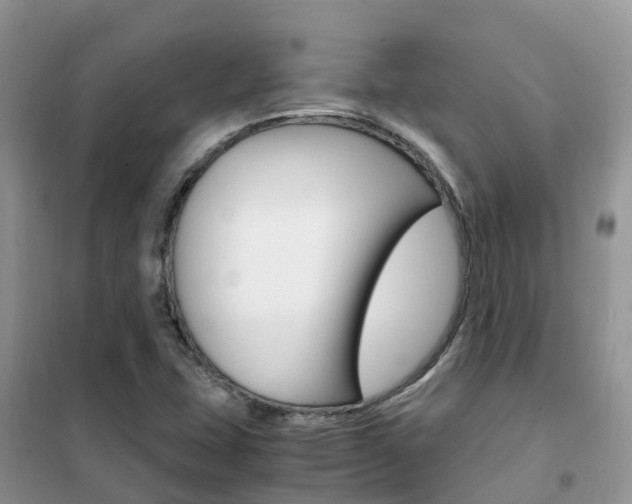 X0000102371407200808011012