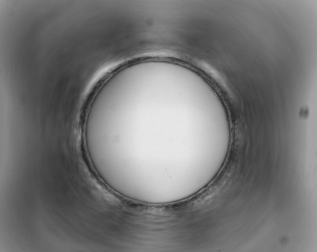 X0000102371408200808011012