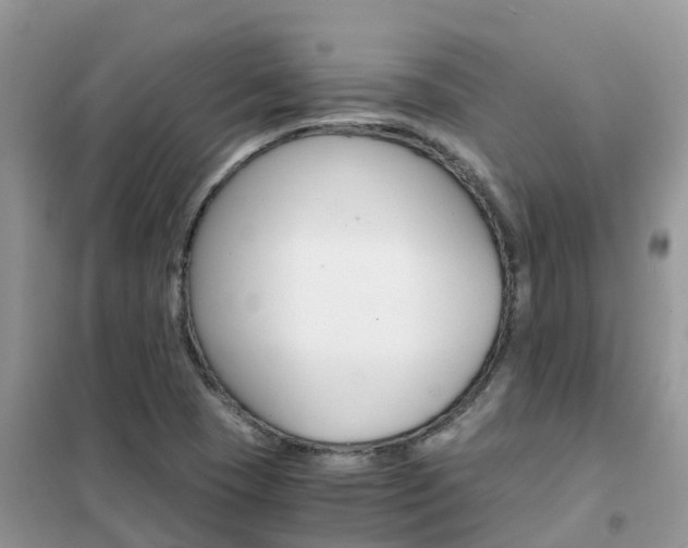 X0000102371409200808011012