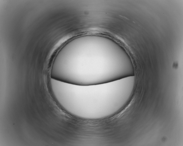 X0000102371410200808011012