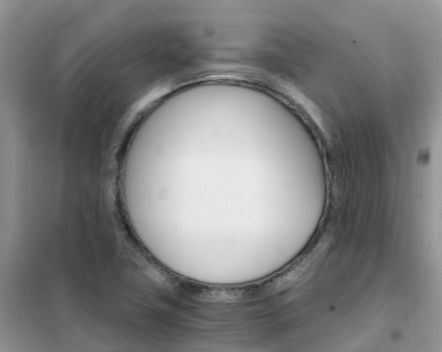 X0000102371411200808011012