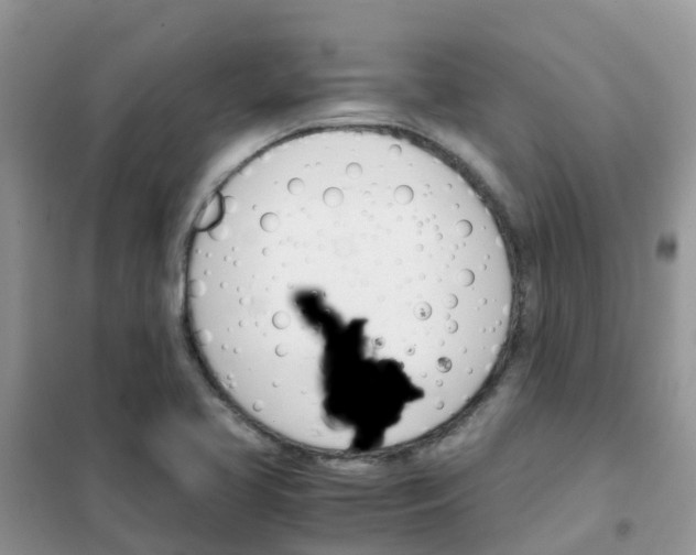 X0000102371413200808011012