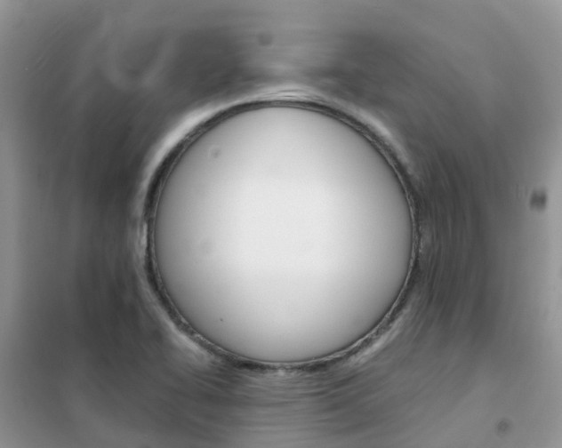 X0000102371414200808011012