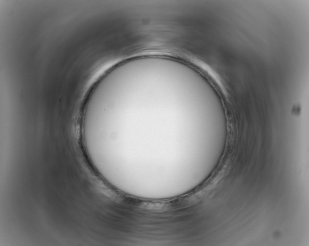 X0000102371415200808011012