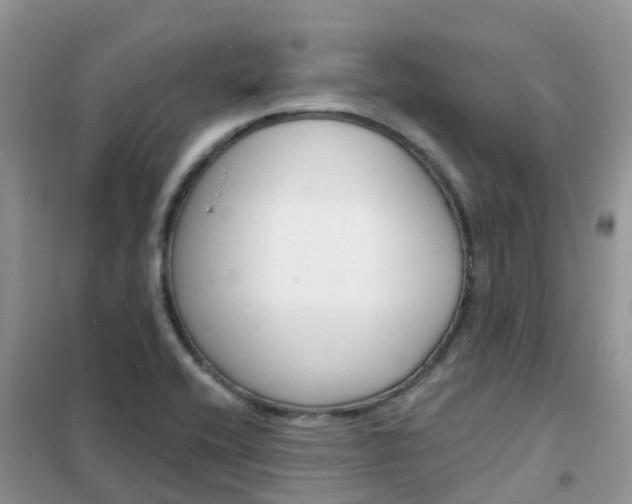 X0000102371416200808011012