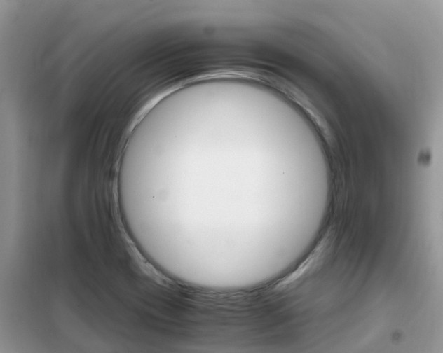 X0000102371417200808011012