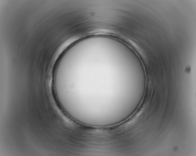 X0000102371418200808011012