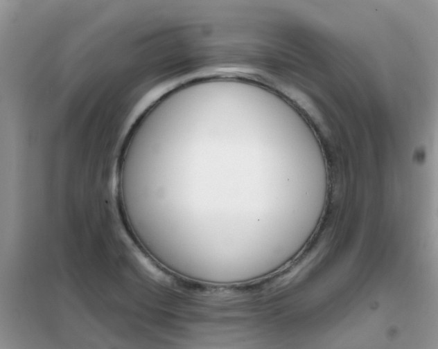 X0000102371420200808011013