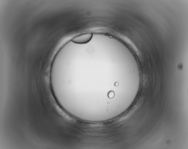 X0000102371421200808011013
