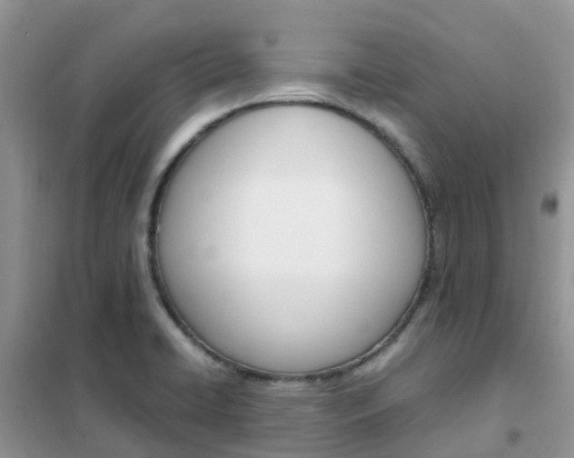 X0000102371422200808011013