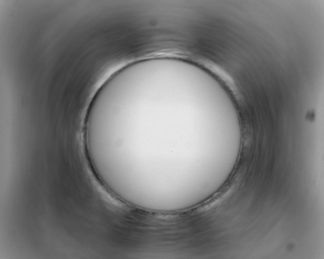 X0000102371423200808011013