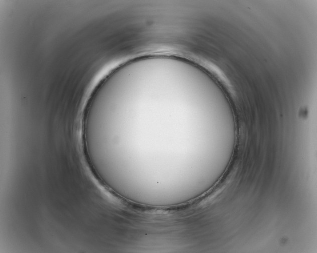 X0000102371424200808011013