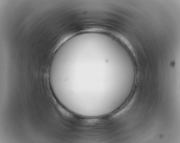 X0000102371425200808011013