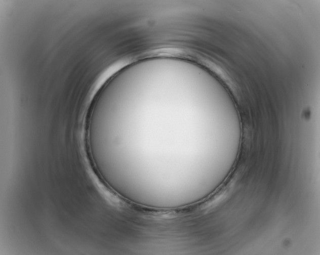 X0000102371426200808011013