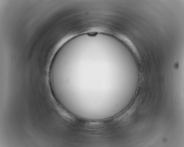 X0000102371427200808011013