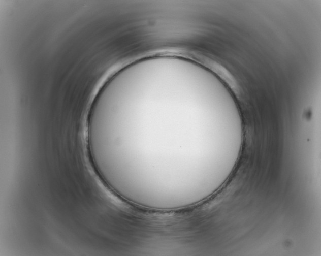 X0000102371428200808011013
