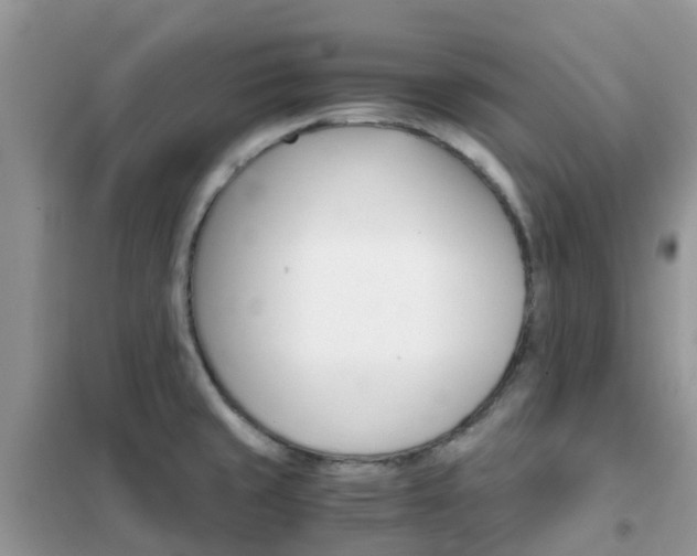X0000102371429200808011013